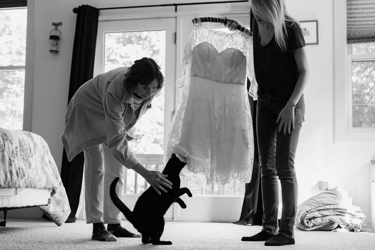The family cat rubs on the bride's dress at her backyard elopement in Dover NH