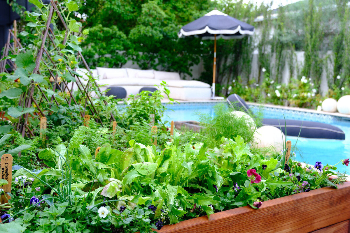 Willows-Garden-Le-Potager12