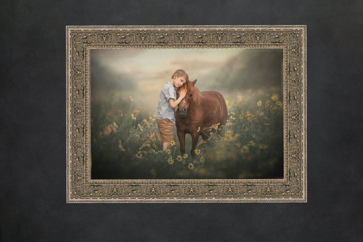 wall art display of young boy and his horse on display at Sonia Gourlie  Fine art Portrait Studio