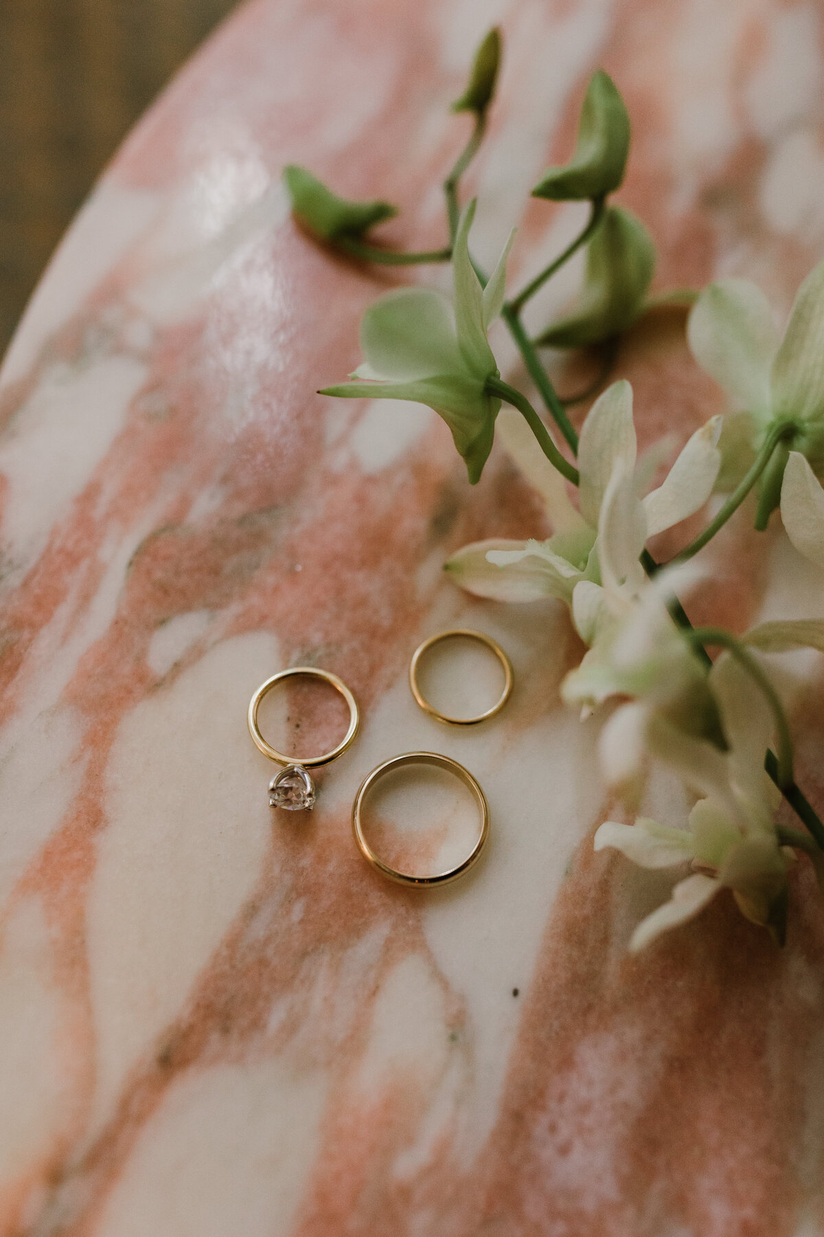 Wedding rings for intimate Laguna Gloria wedding in Austin