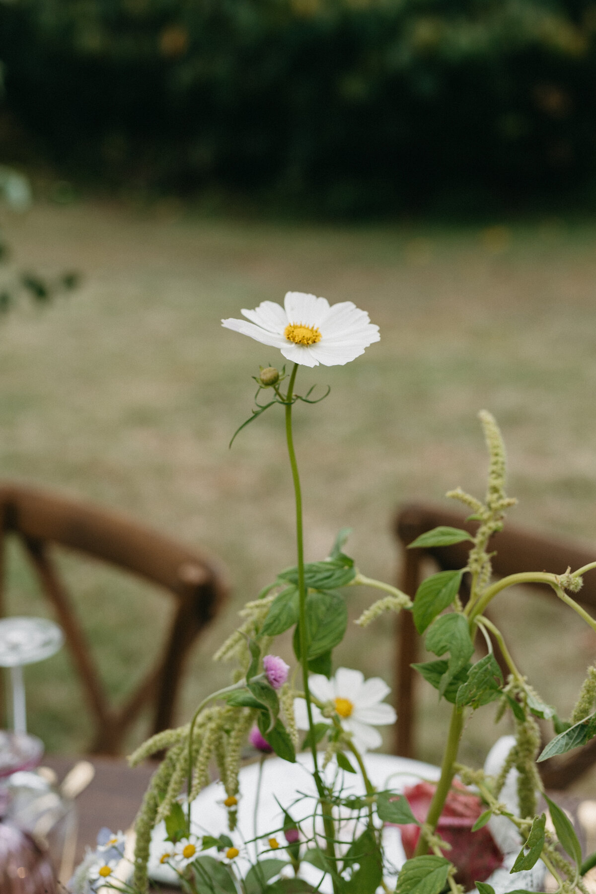Delicate white cosmos bloom rising above a garden-style floral arrangement with greenery and pastel wildflowers. Part of a whimsical, nature-inspired wedding tablescape designed for an outdoor celebration in Northwest Arkansas.
