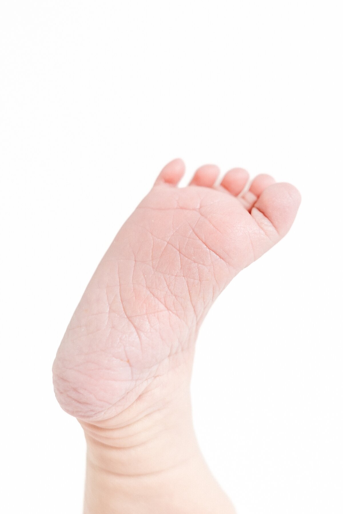 Ernest-Newborn-63