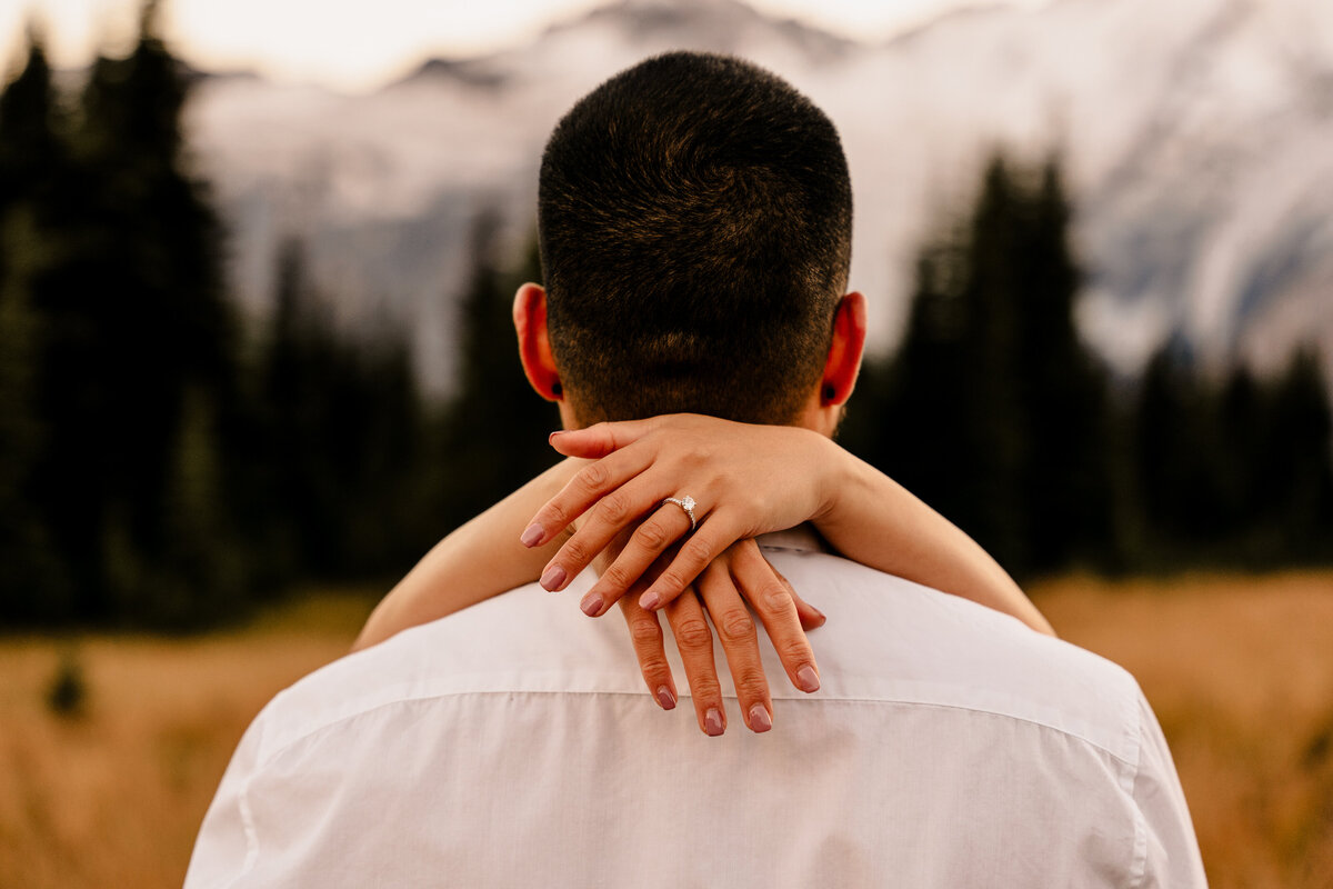 Sherwin-Zarah-Engagements-152