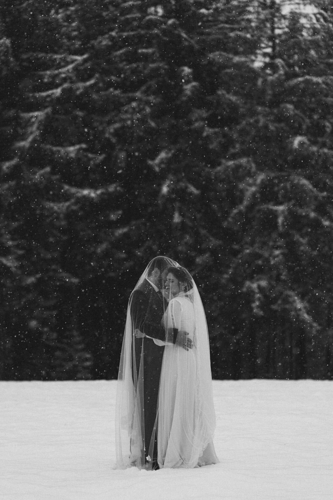 Hochzeitsfotograf Winter