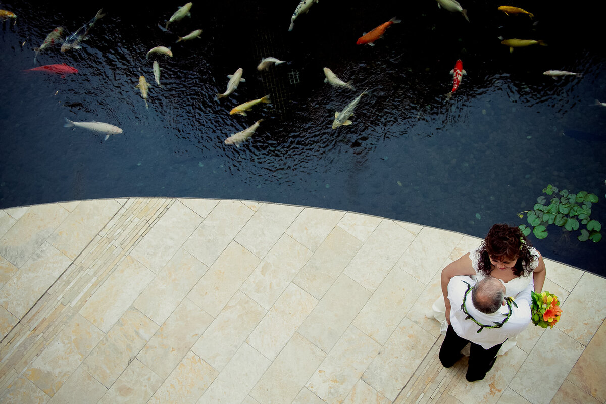Aerial View of the Bride and Groom Next to Koi Pond