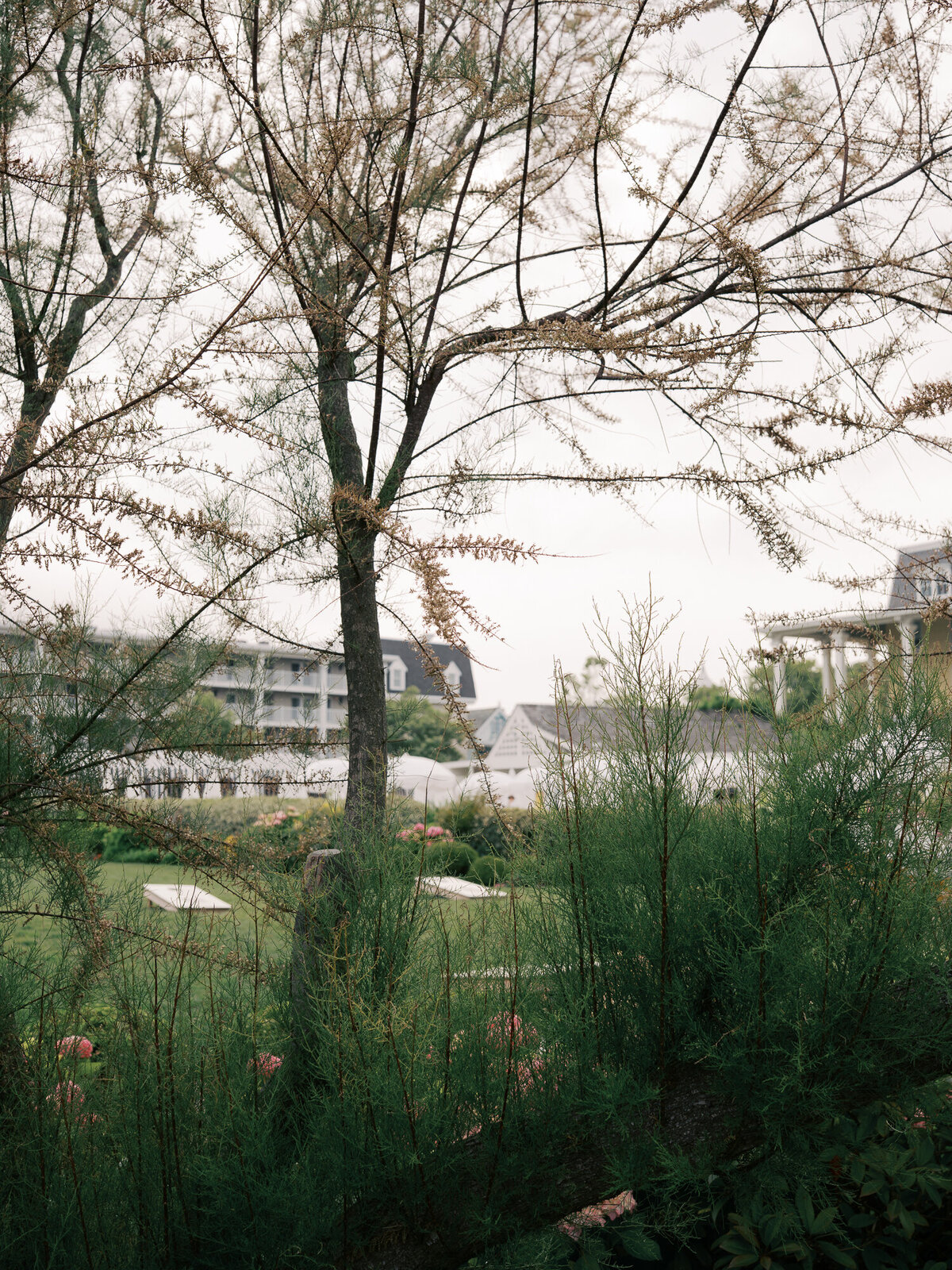 capemayphotographer-1