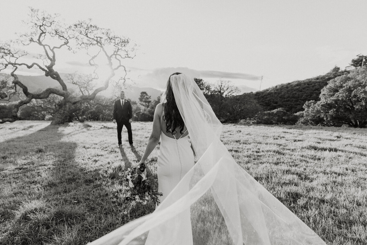 THEDELAURAS_HOLMAN_RANCH_CARMELVALLEY_WEDDING_ERIN_REX_1063-1159