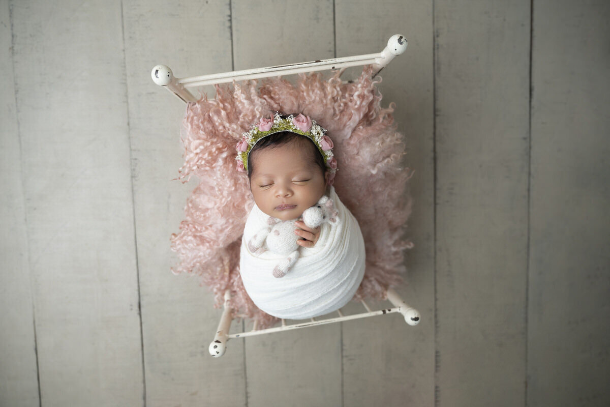 31 Charlotte newborn photography poses
