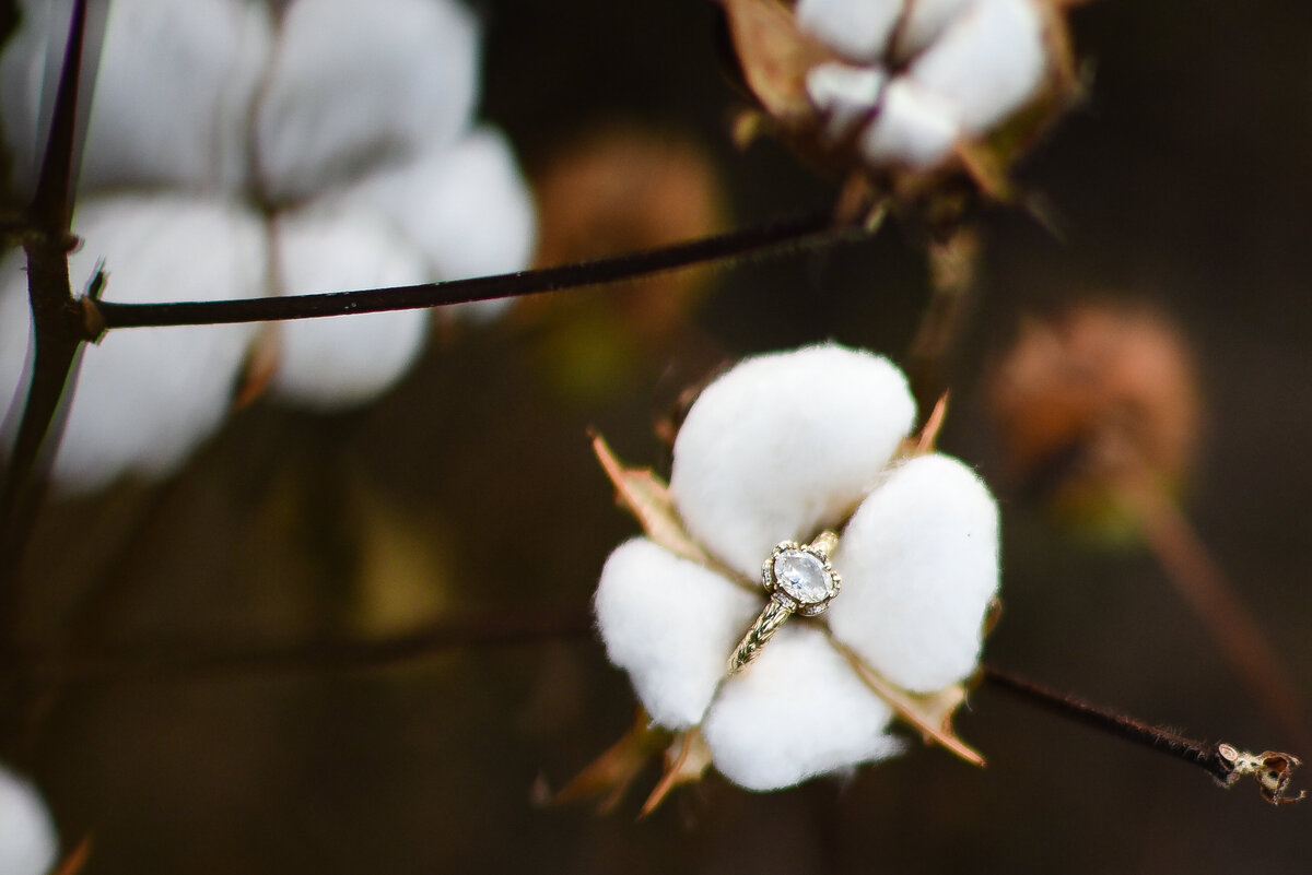 Beautiful Mississippi Engagement Photography: engagement ring in cotton field on a cotton boll, southern wedding photography