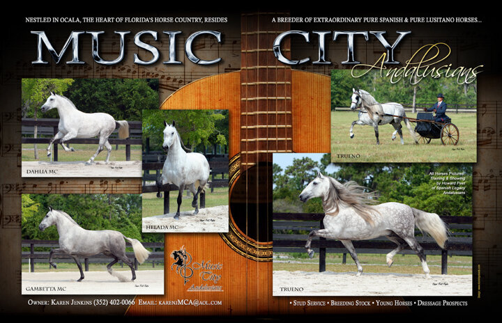 stallion promotion magazine design