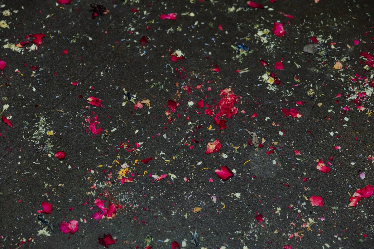 Detail shot of the aftermath of flower confetti at a wedding in Waxahachie, Texas. Flower pedals and stems are strewn all about the ground showcasing the joyous celebration that just took place.
