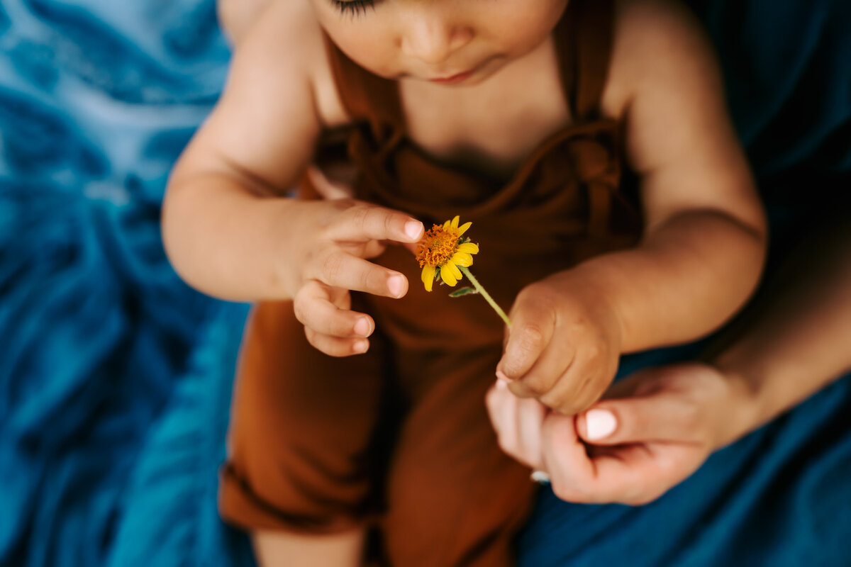Family Photographer, a little boy examines a flower sitting in mom's lap