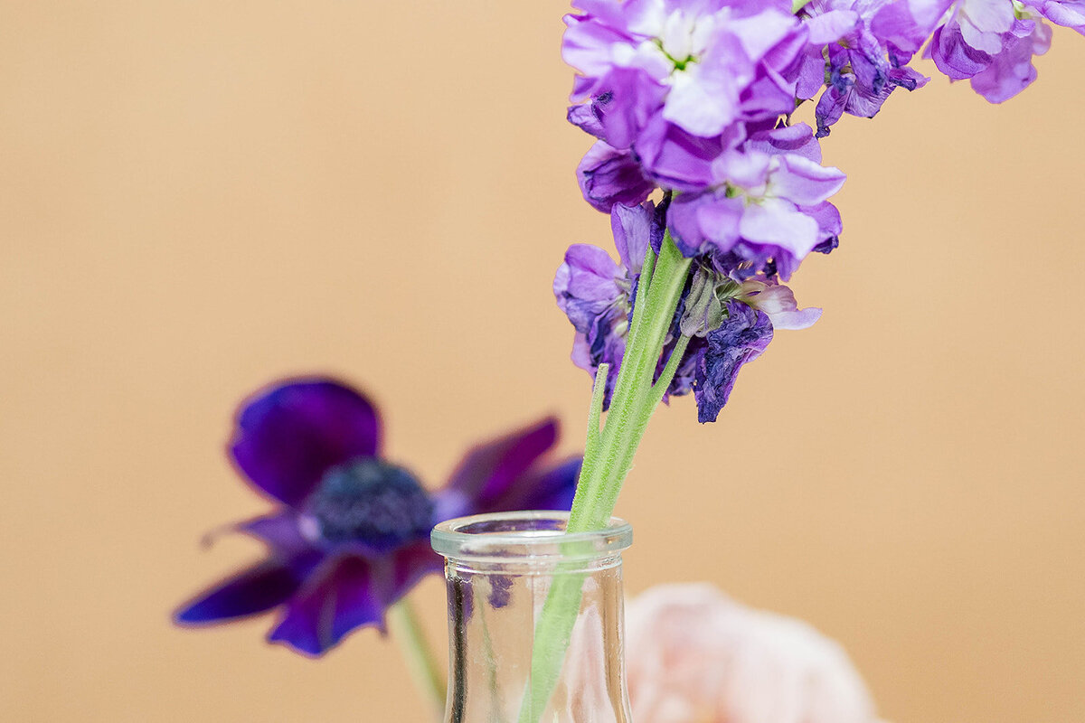 Eliana-Melmed-Photography-Chicago-LosAngeles-Jewish-WeddingPhotography-ElianaSklar-CocktailHour-00008