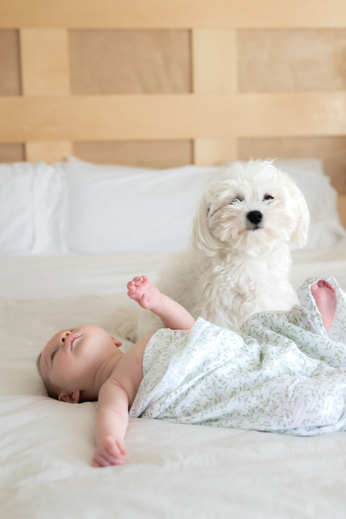Brooke Lacombe is an Ottawa, Ontario based newborn photographer, specializing in motherhood, maternity, newborn and family fine art photography.