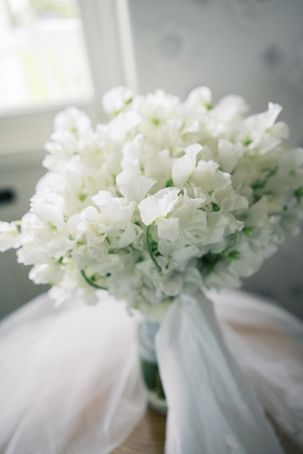 capemayphotographer-7