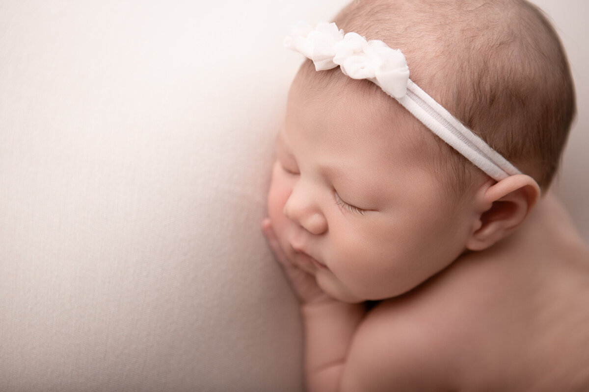 Studio newborn pose on a baby pink backdrop