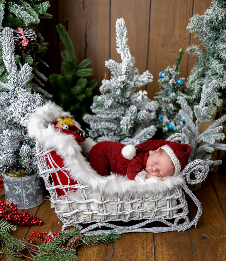 Christmas newborn baby
