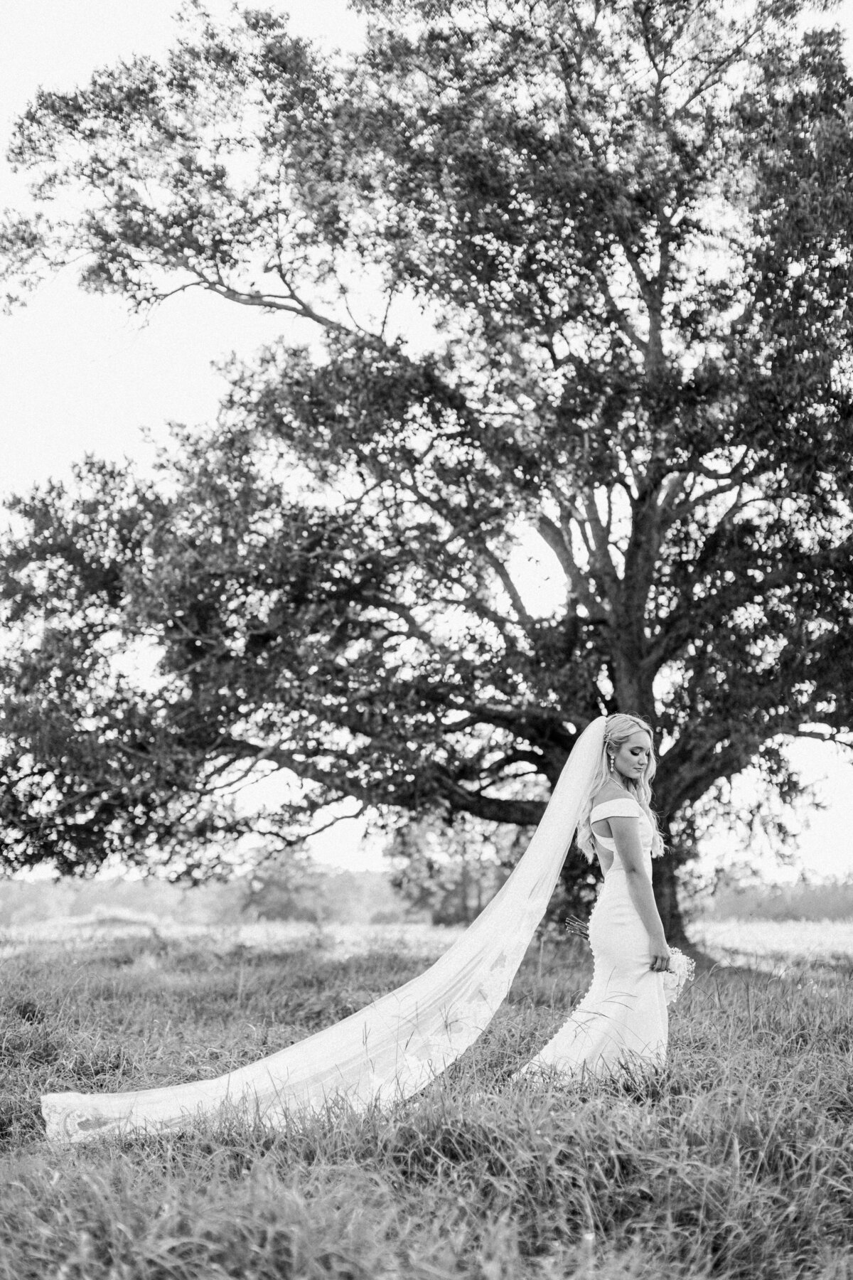 Houston Bride outside with oak trees