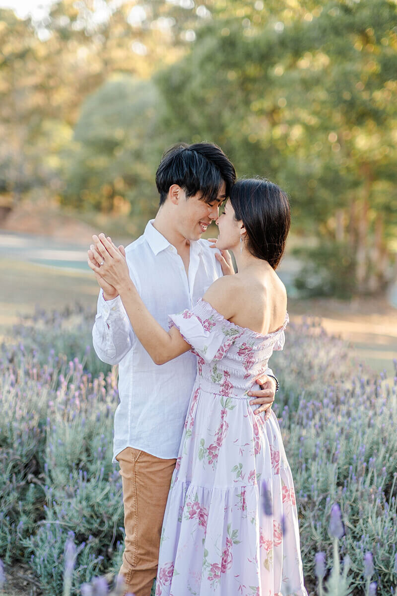 Engagement photos at sirromet winery mount cotton lavenders at golden hour