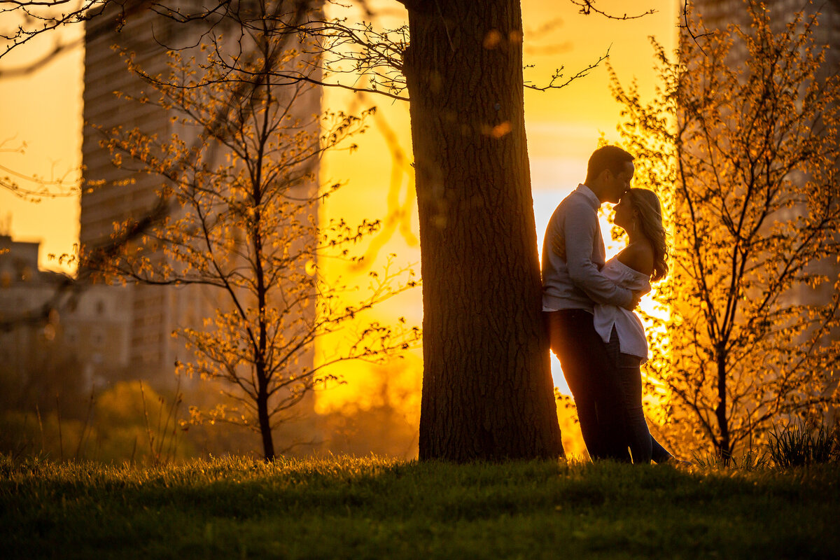An engaged couple kissing next to a tree at Lincoln Park  at sunset.
