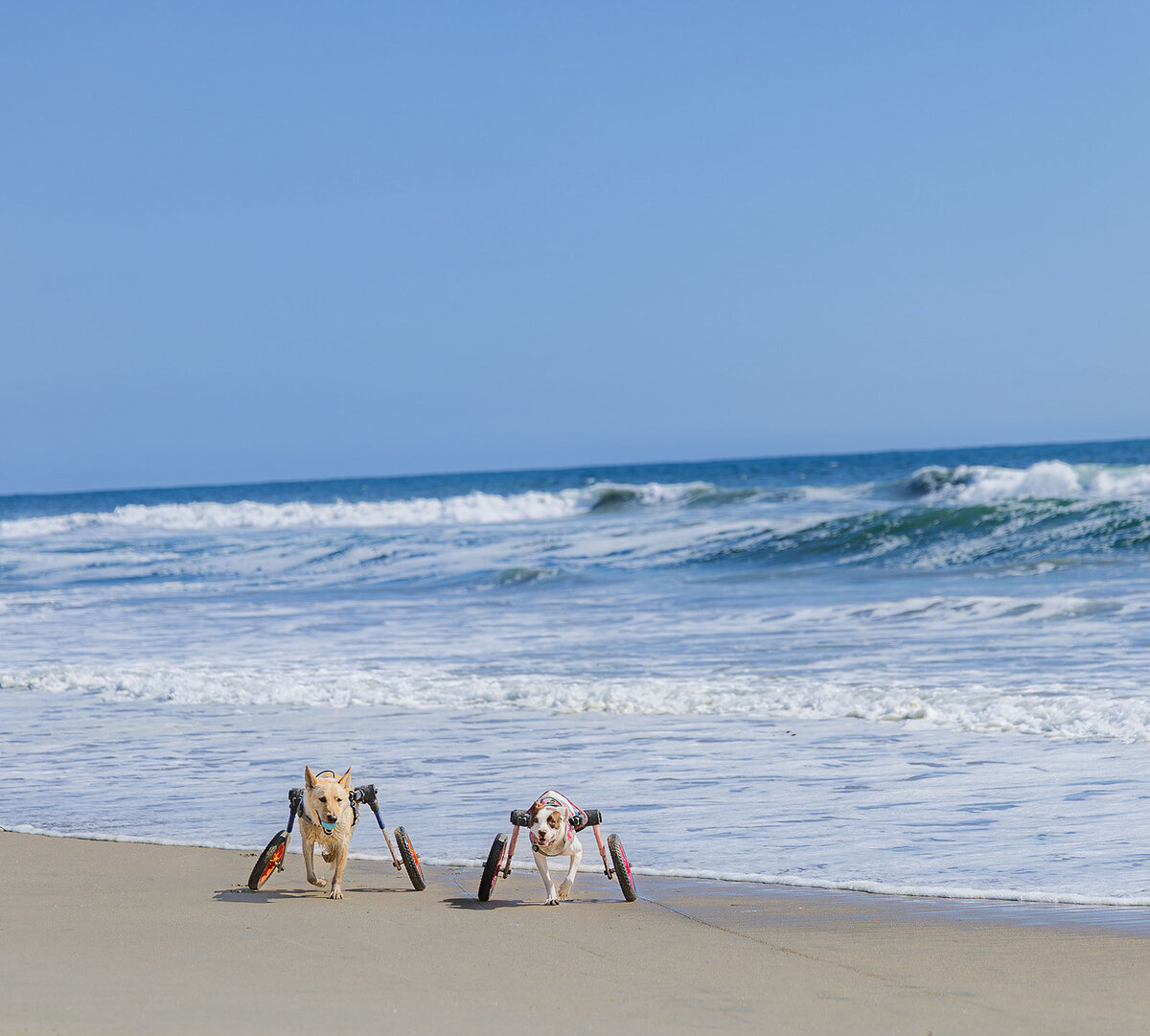 The Unstopables-196_websize