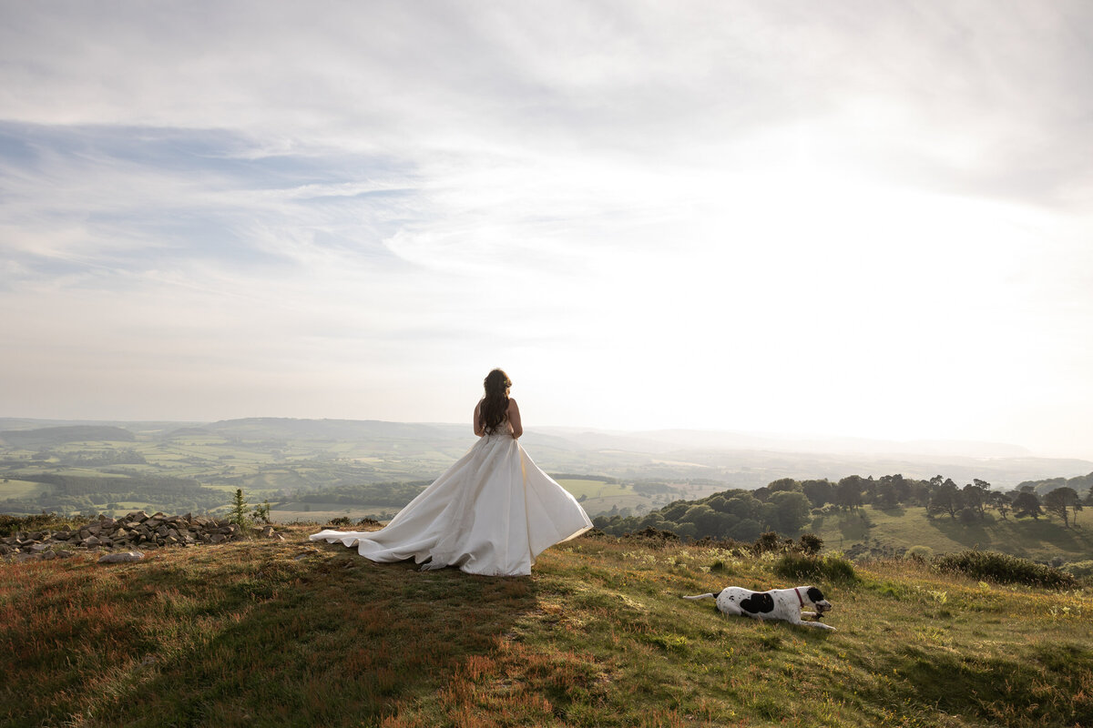 Devon-Wedding-Photographer_ (176 of 369)