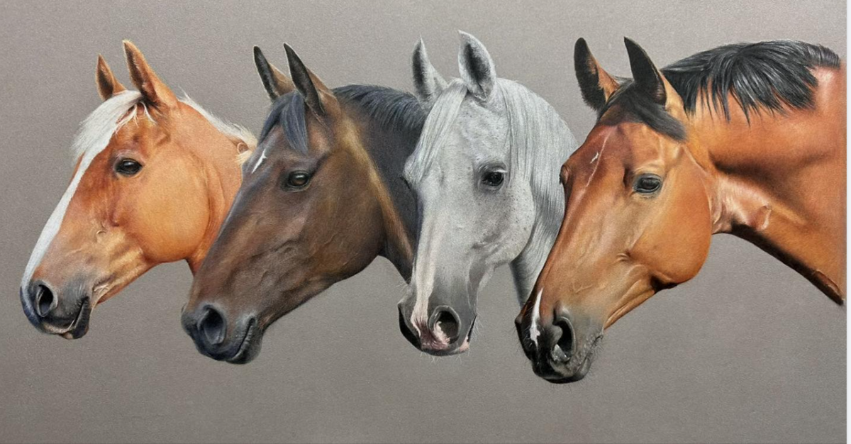 Horses - Coloured Pencil - Bonny Snowdon Academy