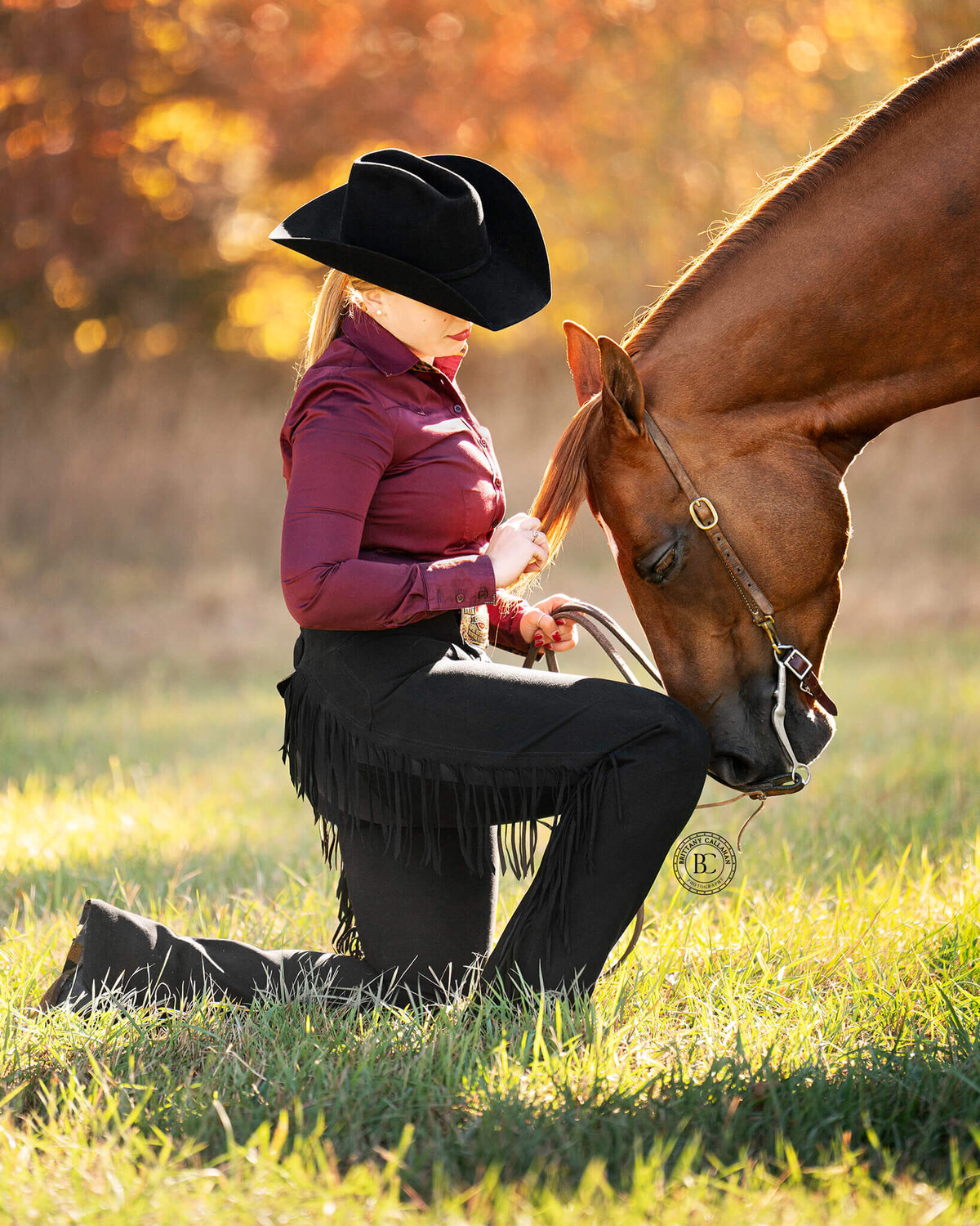 Southern-illinois-horse-photographer-#29