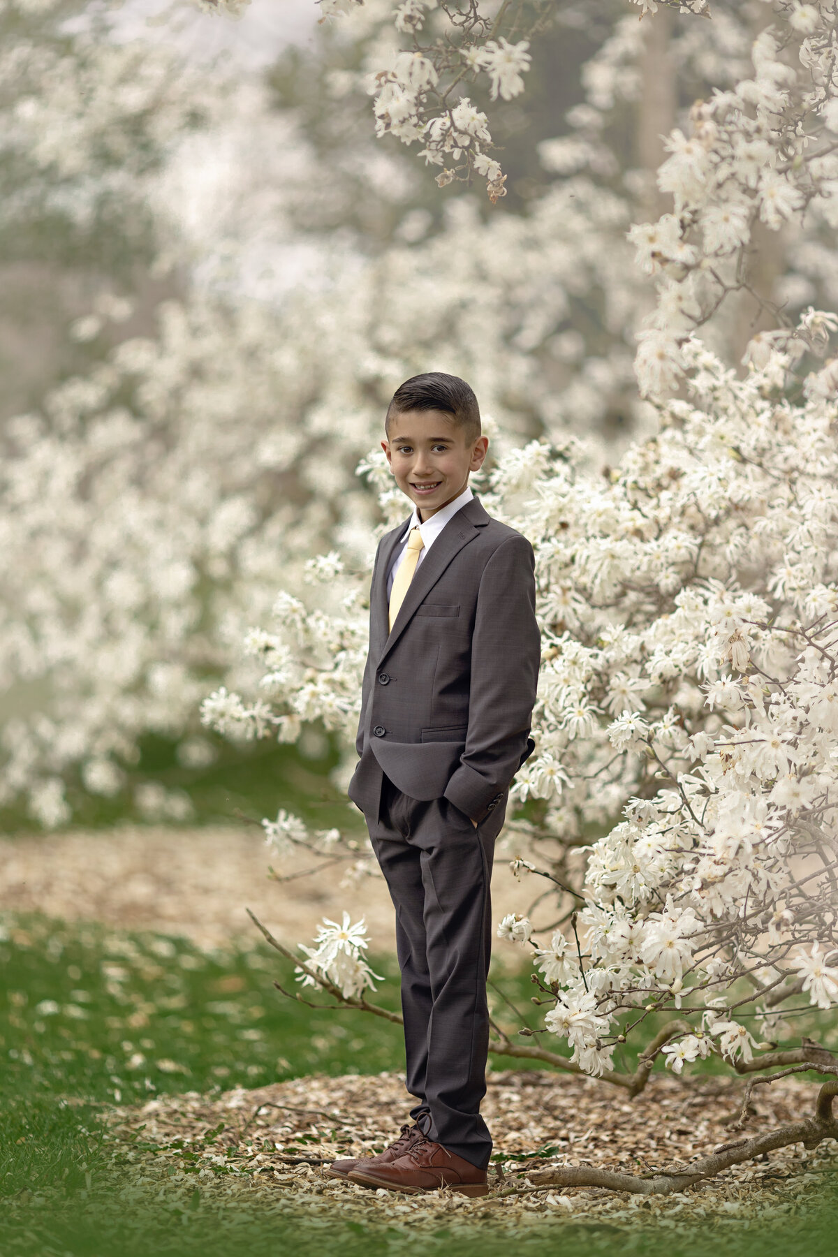A young boy in a grey suit stands in a park among a white flowering tree