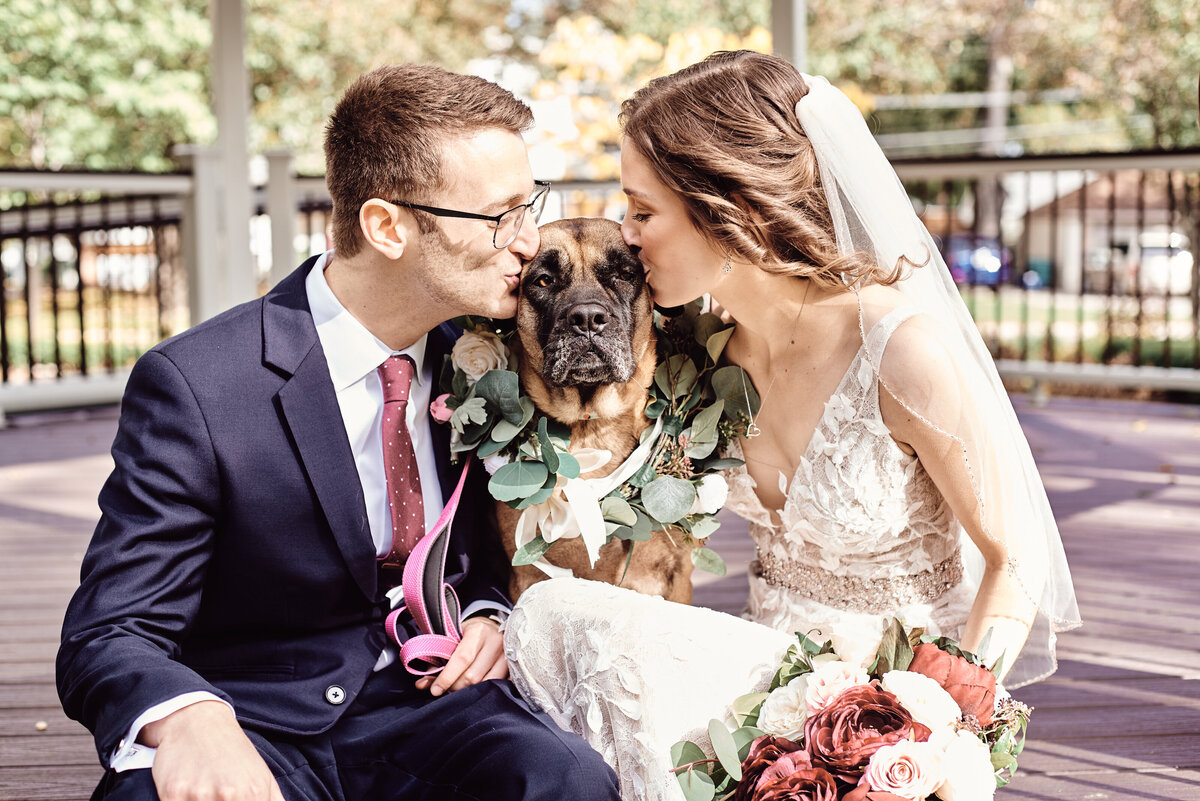 Bride and Groom make their dog a part of their wedding day