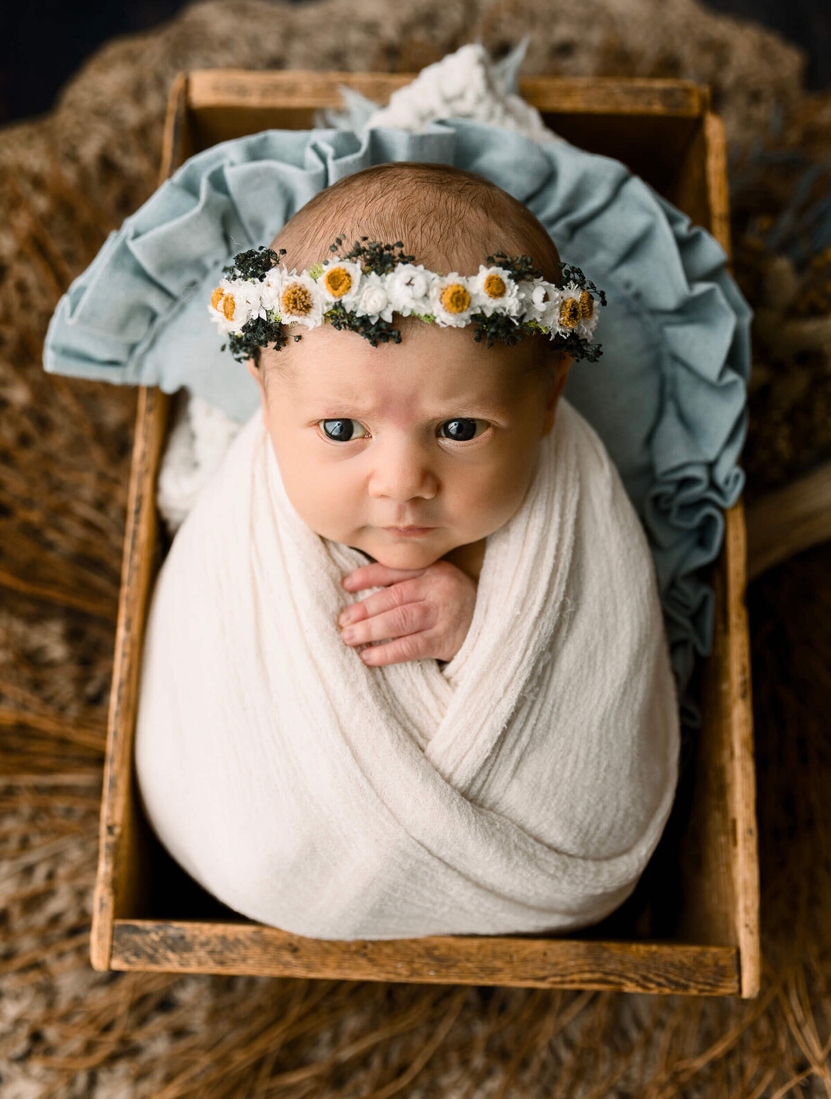 Newborn baby girl wrapped and posed in a box with a flower headband