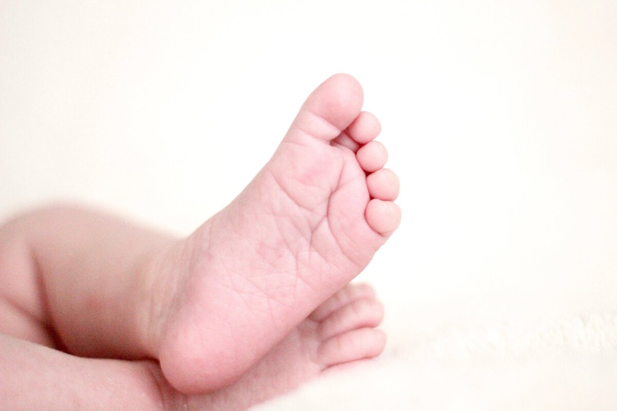 megan-menegay-366452-unsplash