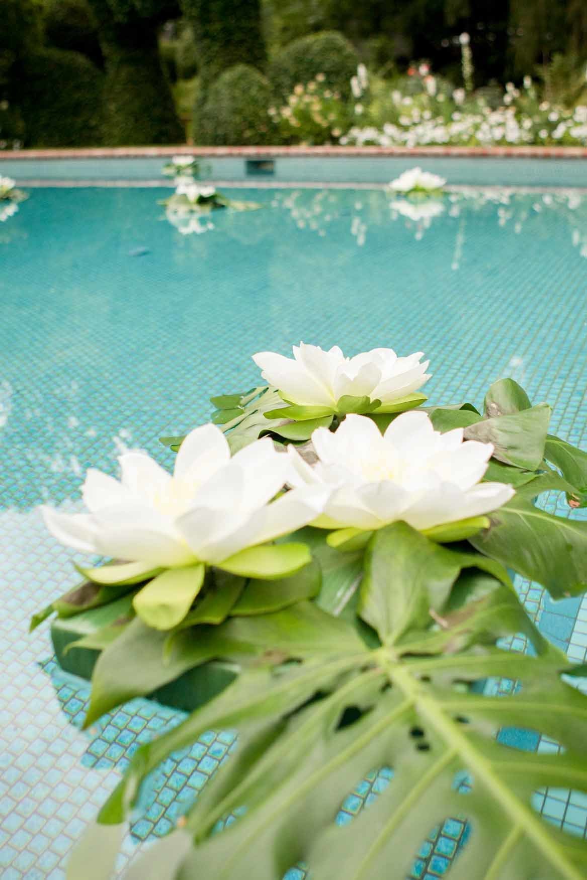 White lotus and monstera clusters floating in a pool