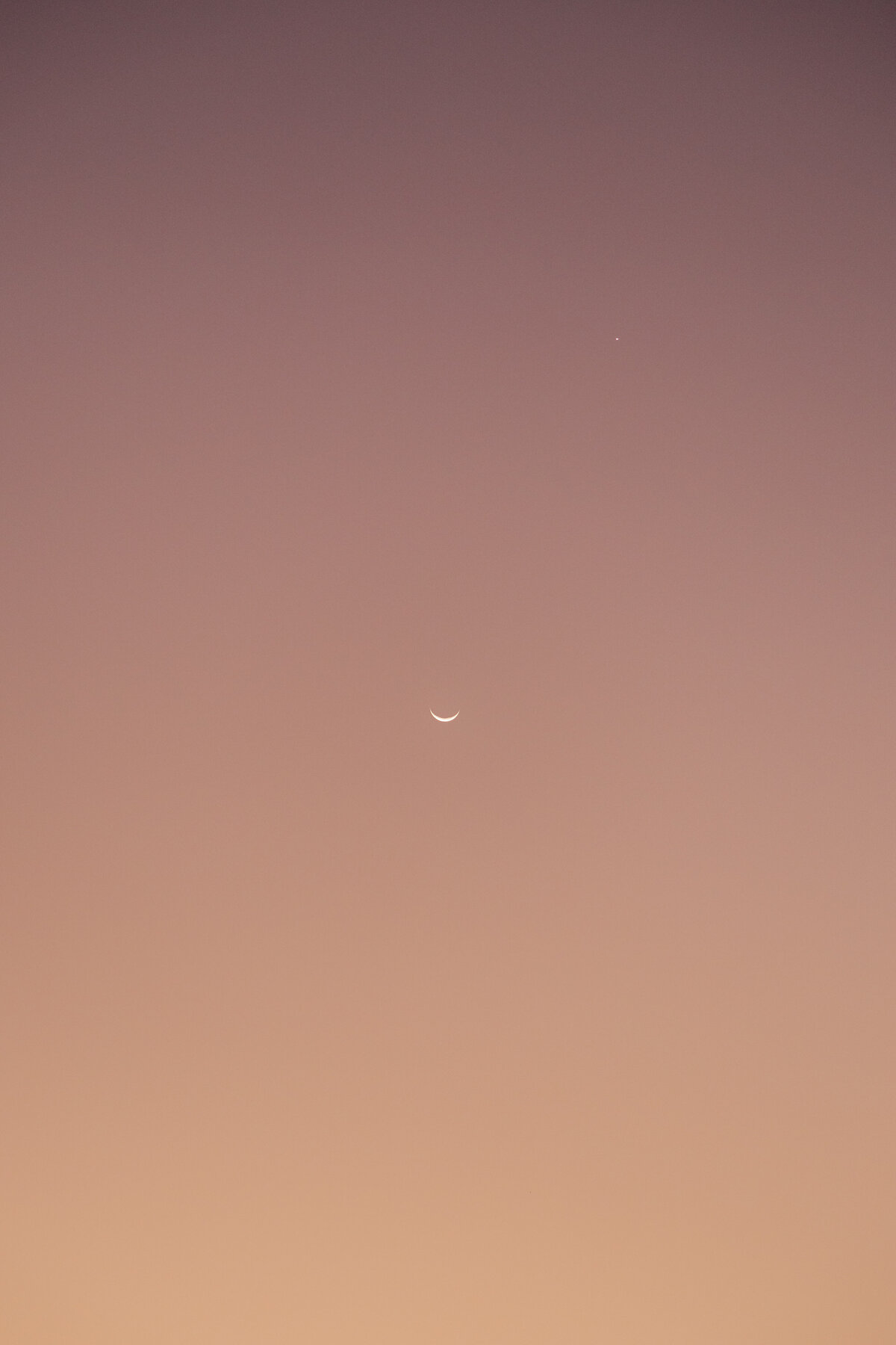 Lynzie and David - Evening-98