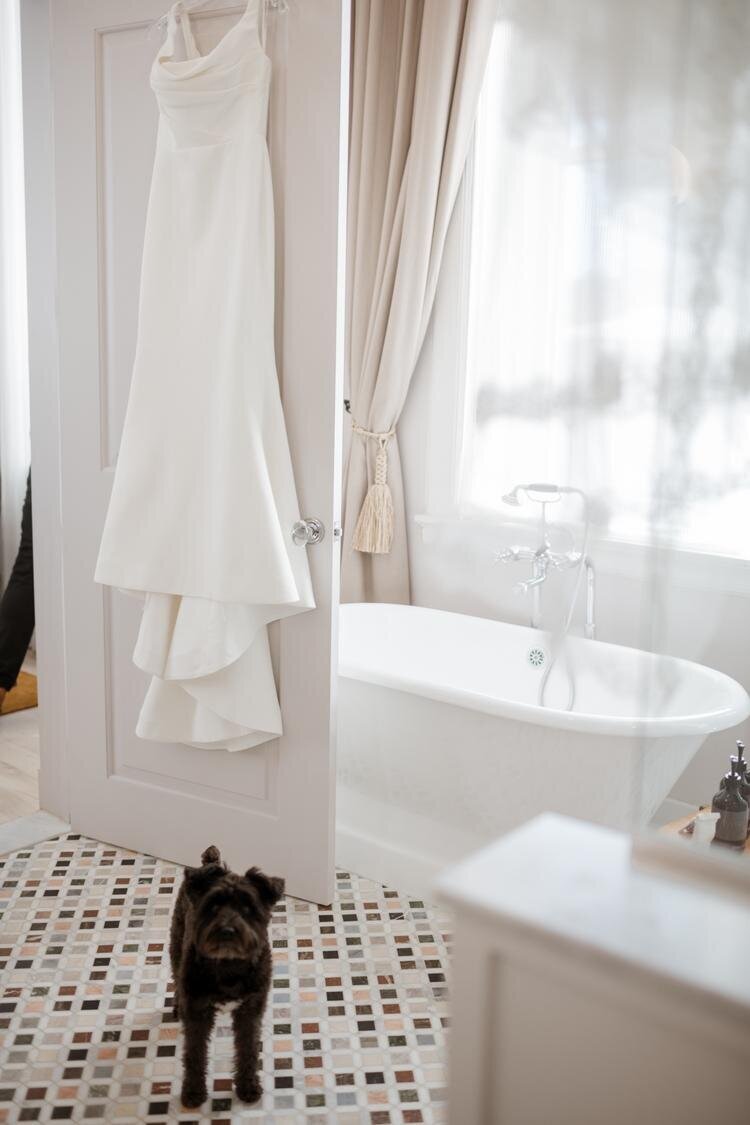 Dress-hangingat-hotel-maison-de-la-luz-hotel-in-New-Orleans-bathtub-and-dog-in-shot.jpg
