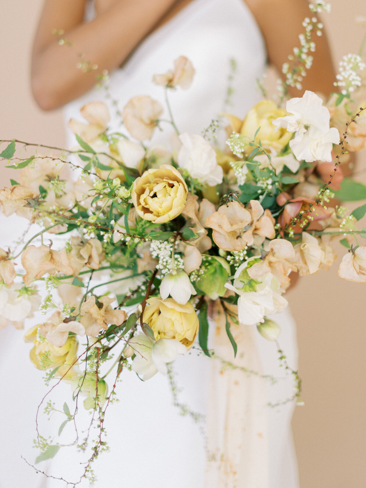 sierradyerco-amitaeditorial-146