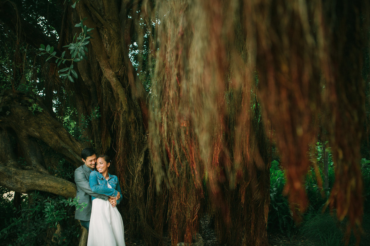 Engaged couple under willow tree