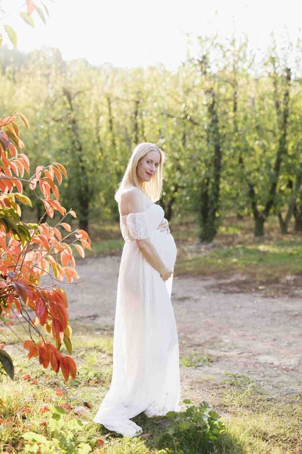 pregnancy-perth-photoshoot-1 pregnancy-perth-photoshoot-1