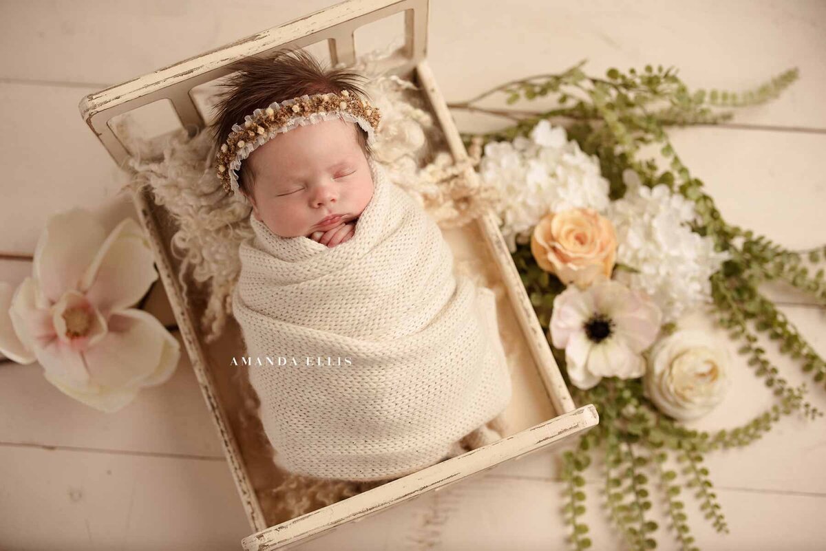 Newborn baby posed in miniature bed in artistic newborn photography