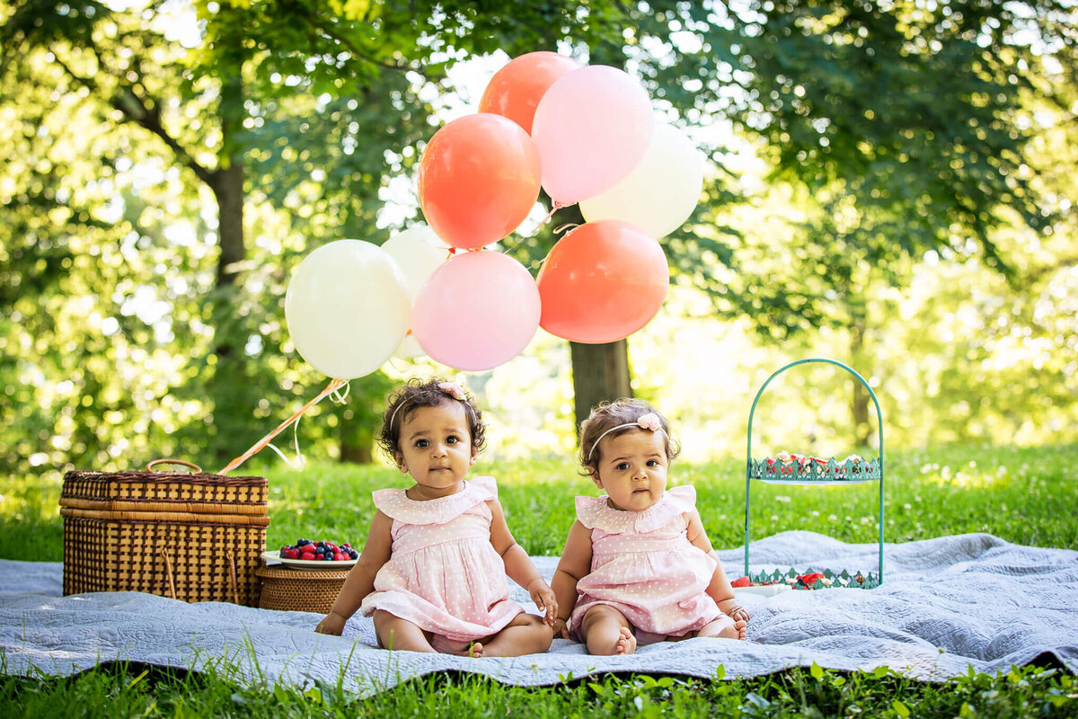 cincinnati-family-twin-sisters-one-year-session-picnic