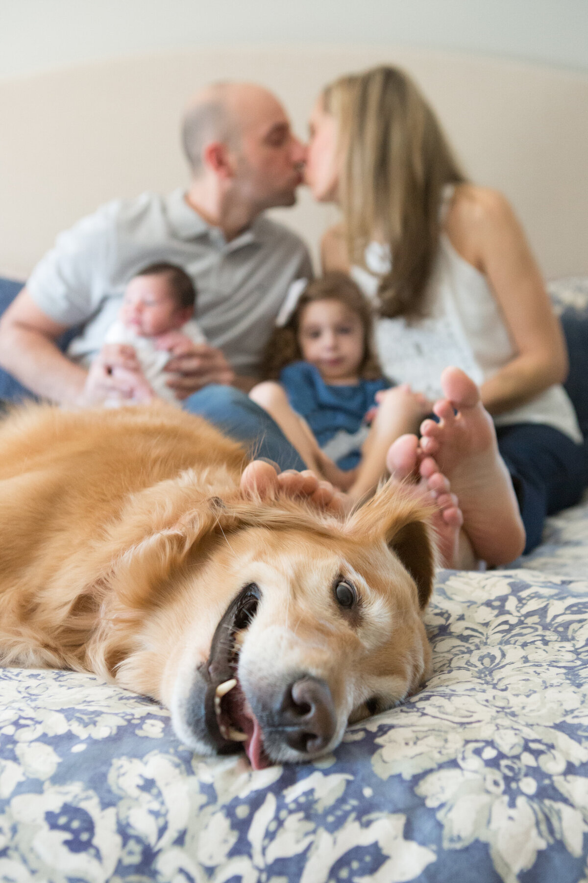 A golden retriever lays on a bed in the foreground with a family of four including a newborn baby in the background Rockland County newborn photographer Milestone Images