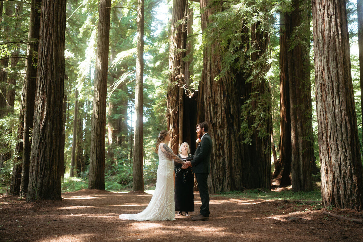 the_chaffins_international_destination_wedding_elopement_photographers_sammie_chaffin_micah_editorial_adventure_photos_travel_redwoods_national_park_6