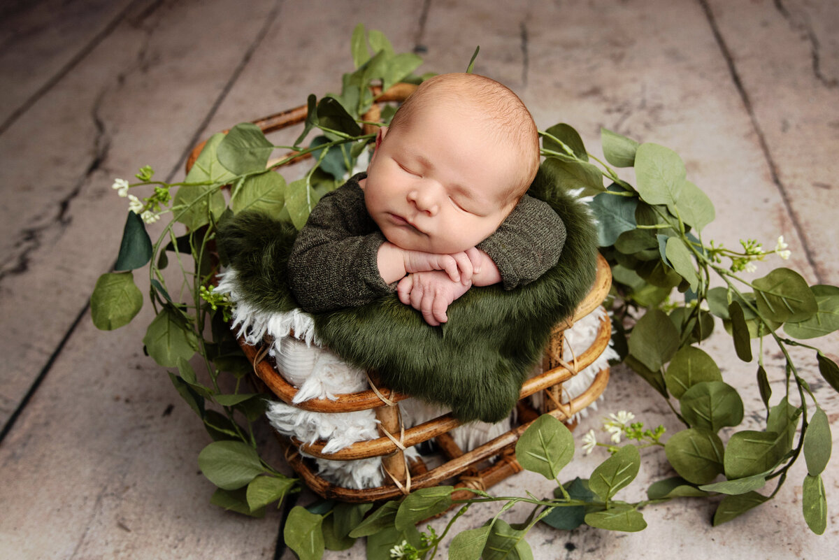 st-louis-newborn-photographer-newborn-baby-in-basket-resting-head-on-crossed-arms-surrounded-by-greenery