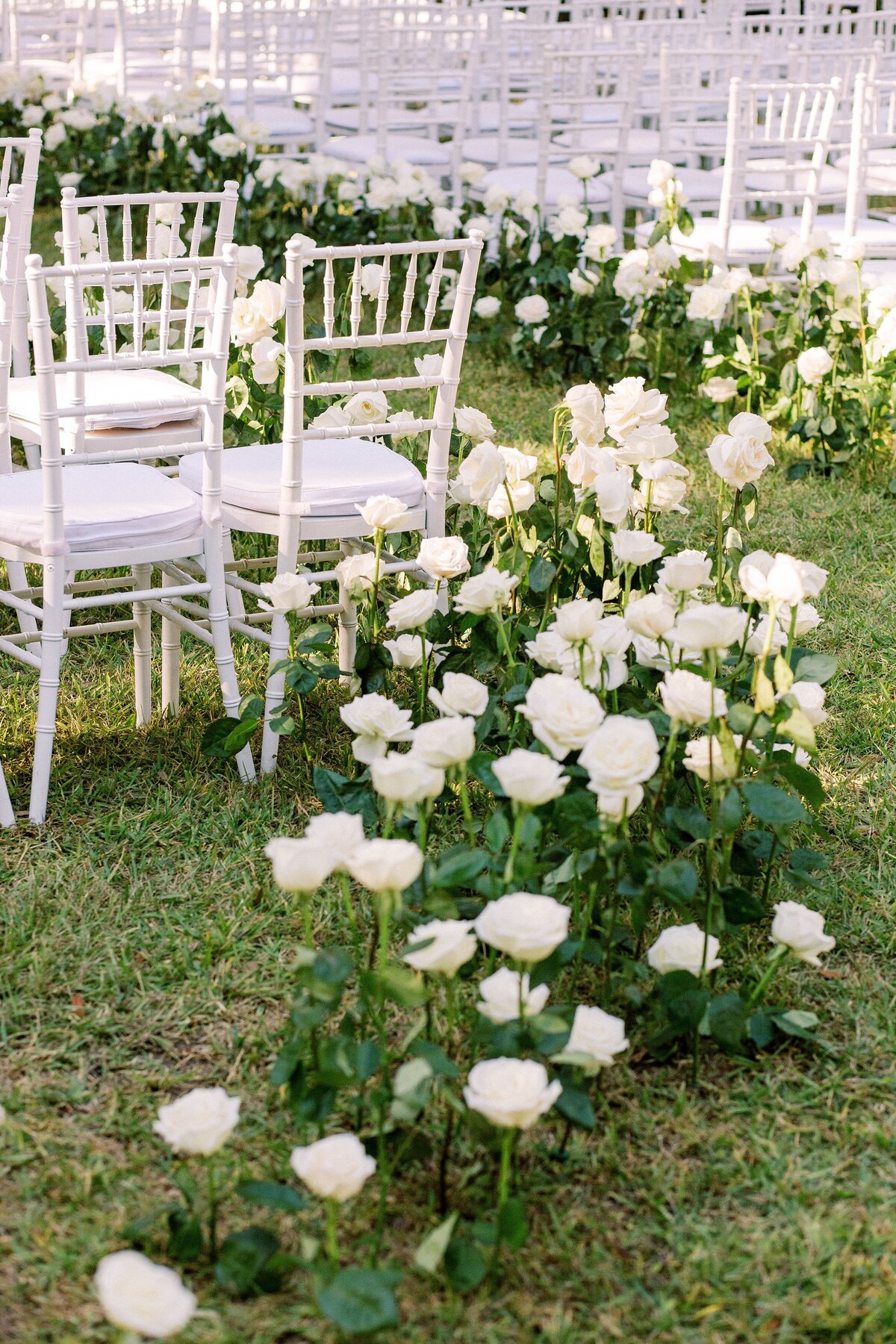 Wedding ceremony space adorned with white roses down the aisle