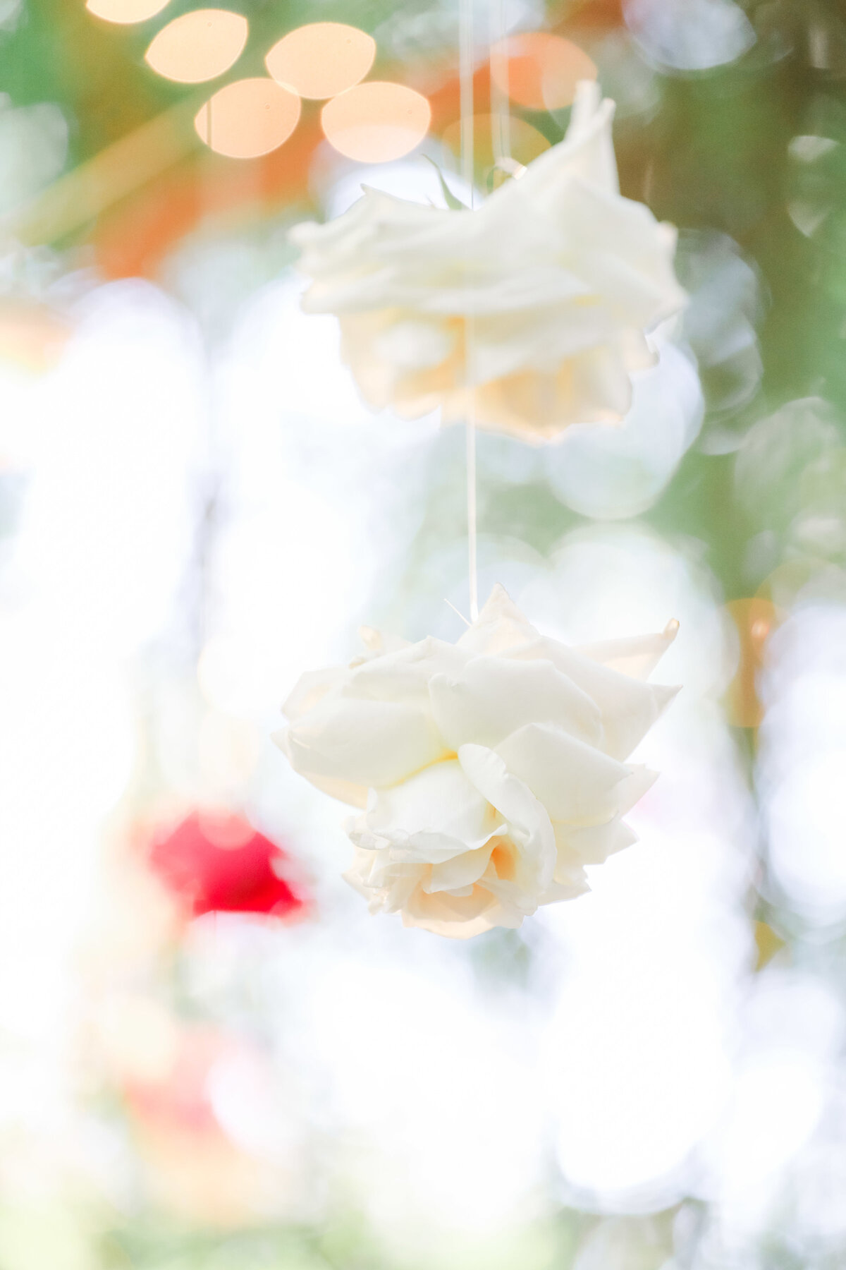 JennyQuicksallPhotography_www.jennyquicksall.com_WestlakeVillageInn_HartleyBotanicaWedding_-560