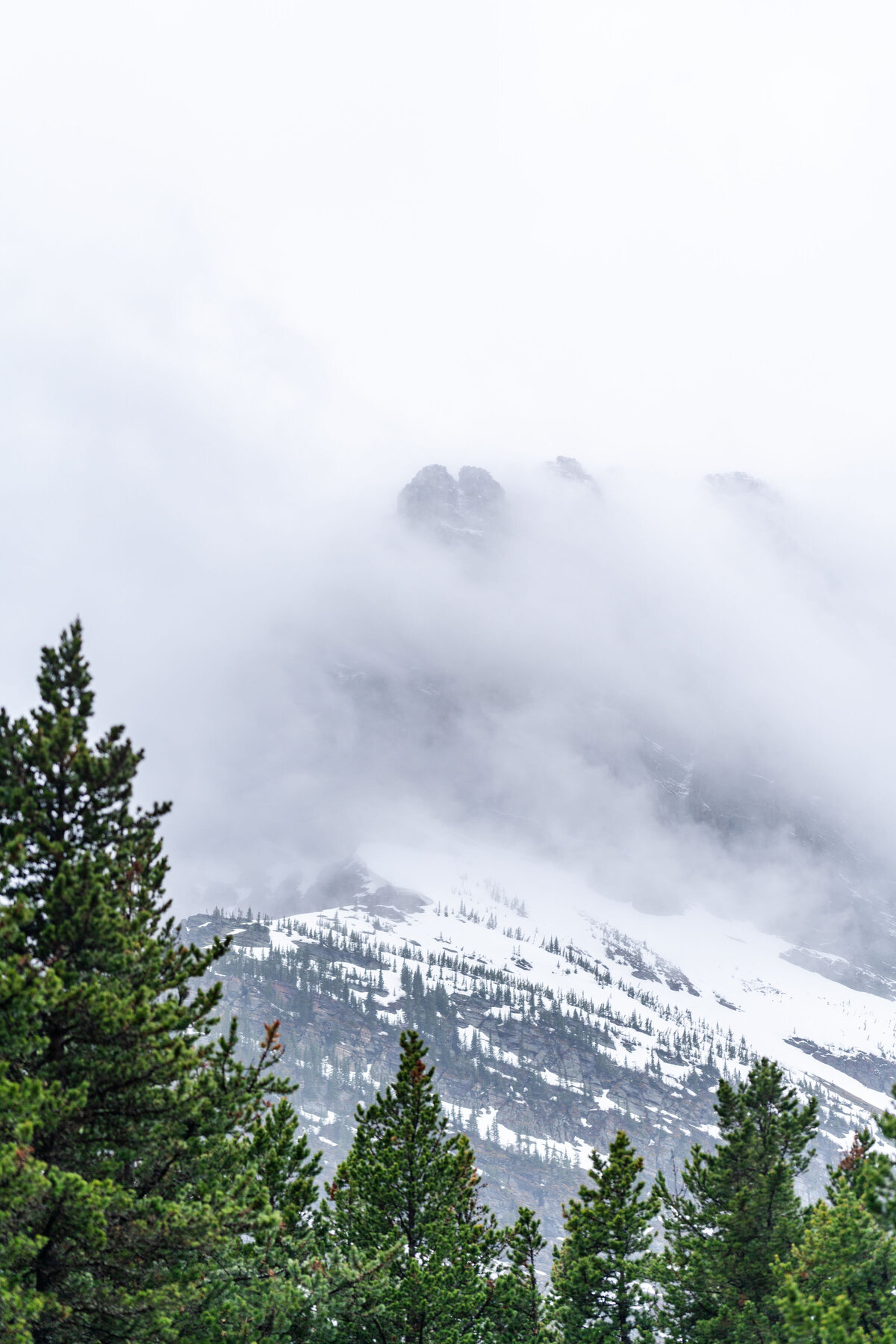Lake Josephine Elopement (52)