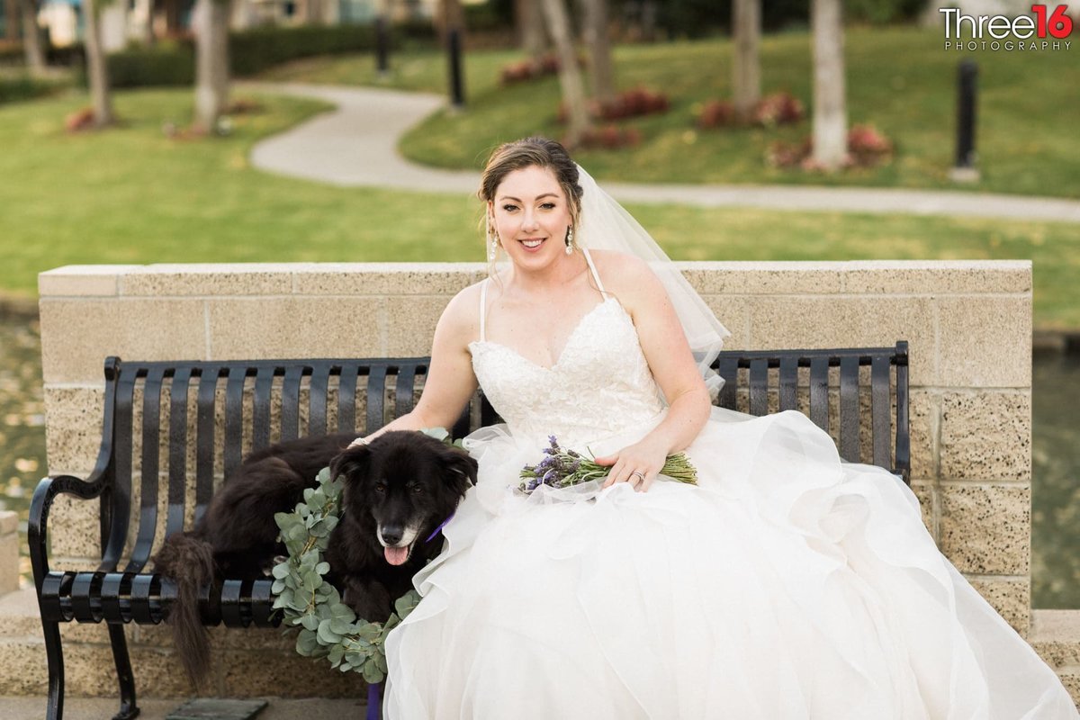 Bride sits on a bench with her dog  as she poses for photos