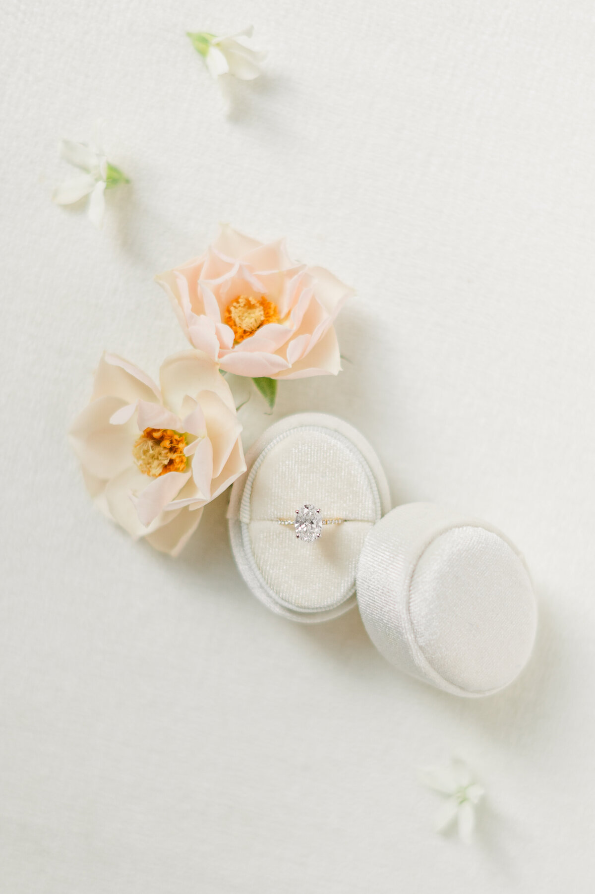 Gorgeous detail photo of a diamond ring on a white velvet box on top of a white background with little pink flowers surrounding.