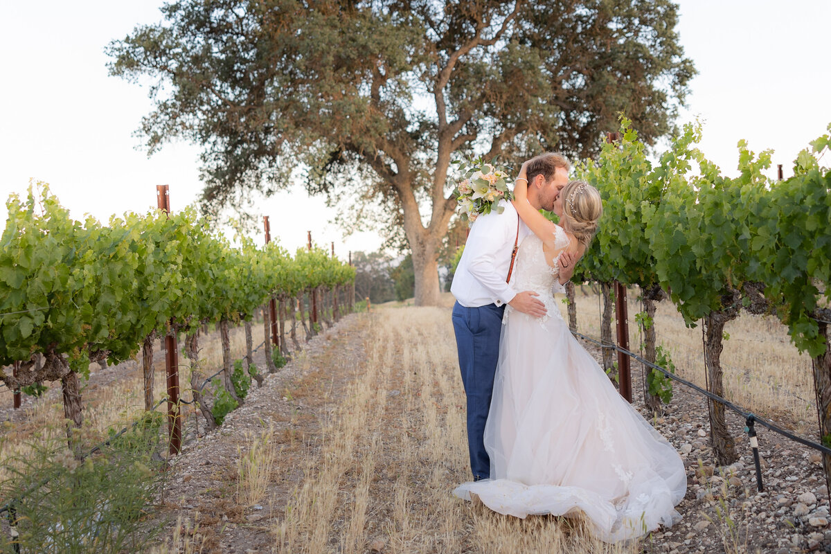 Bride and groom ksis in a vineyard with a large tree and sunset behind them on their wedding day by sacramento wedding photographer.