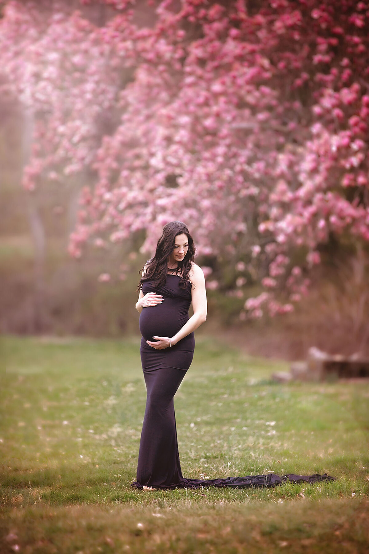 expecing woman wearing a form fitting black dress standing by a magnolia tree